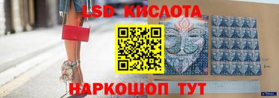 прущие грибы Жуковский