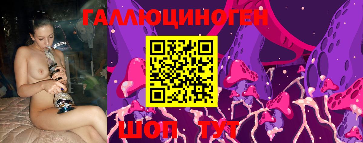 Лениногорск  Галлюциногенные грибы MAGIC MUSHROOMS  Вход с VPN  Псилоцибиновые грибы Psilocybe 