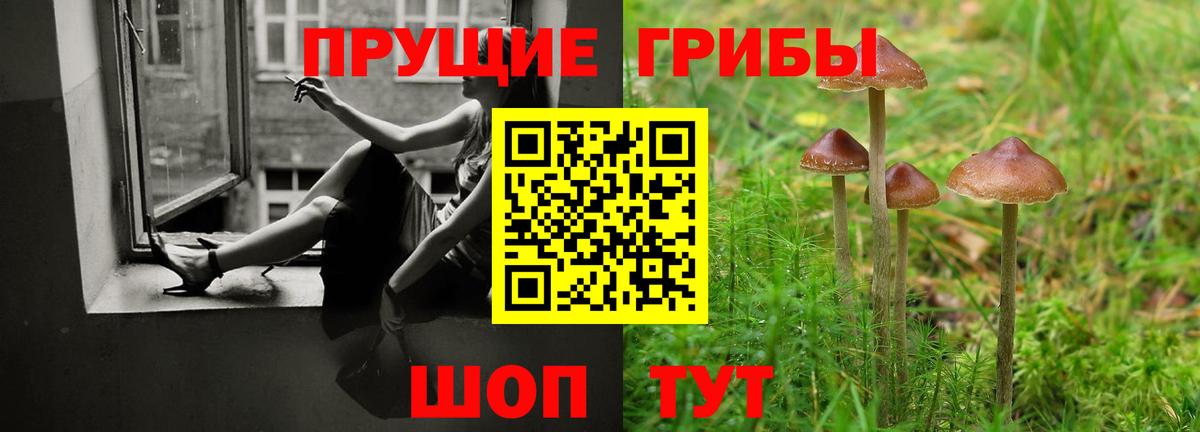 Псилоцибиновые грибы Cubensis Лениногорск